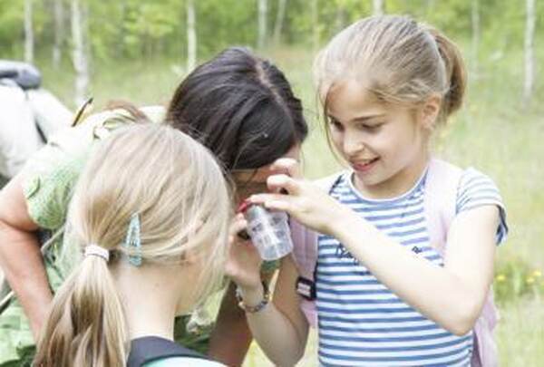 Des enfants examinent quelque chose dans les champs