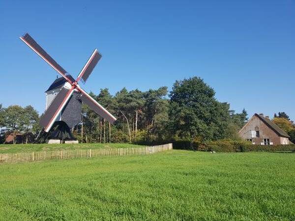 Moulin à vent derrière une prairie