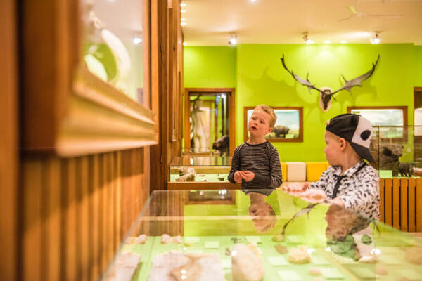 Kind aan tafel in een groene museumzaal