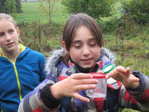 Meisje bekijkt een insect in een potje