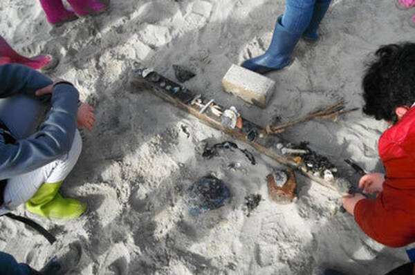 Schelpen en aanspoelsel op het strand