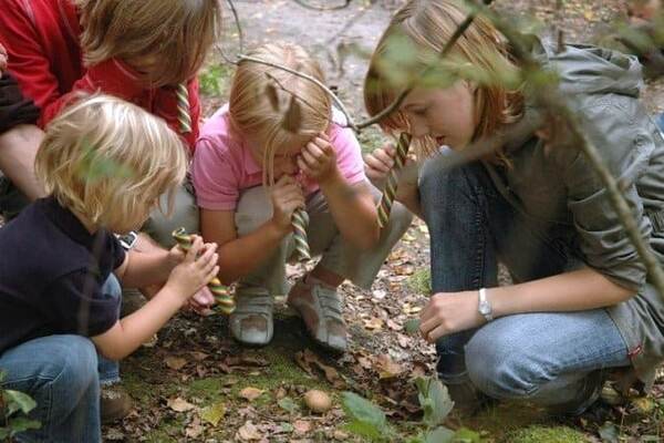 Kinderen bekijken een vondst in het gras