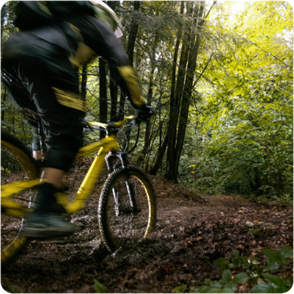 Mountainbike op een bospad