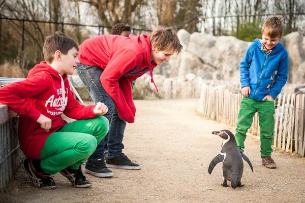 Kinderen kijken naar een pinguïn