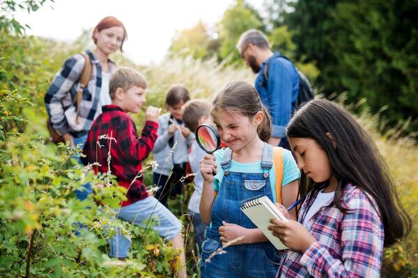 Kinderen onderzoeken planten met een begeleider
